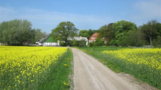 Lejligheder i Ringsted - billede 2